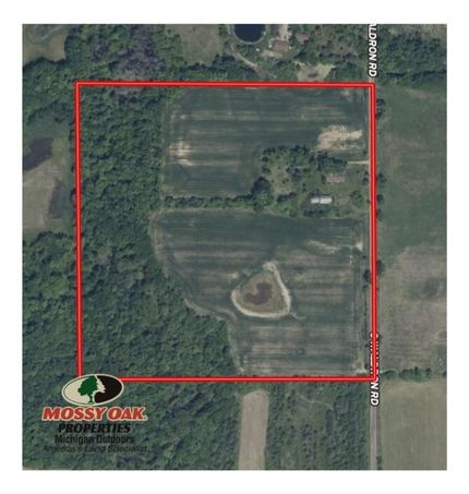 Land for sale in Hillsdale County, Michigan