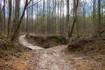 Land for sale in Carroll County, Mississippi