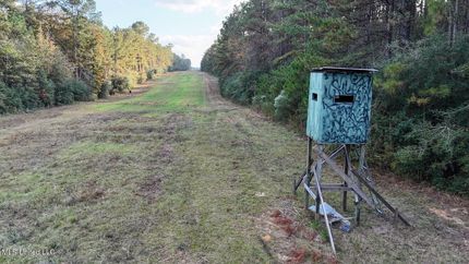 Land for sale in Saint Helena Parish, Louisiana