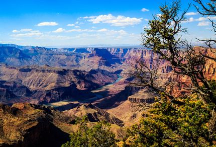 Homesite for sale in Apache County, Arizona