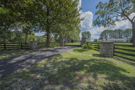 Land for sale in Levy County, Florida