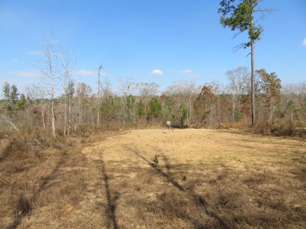 Land for sale in Randolph County, Georgia