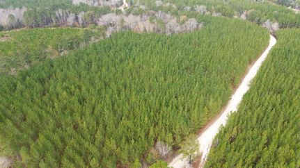 Land for sale in Lexington County, South Carolina