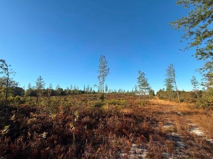 Homesite for sale in Lexington County, South Carolina