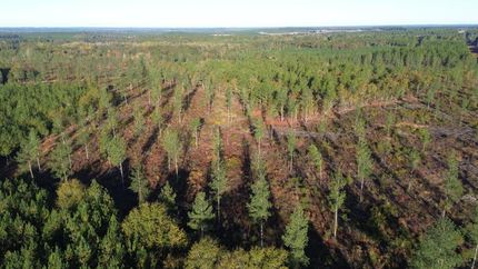 Land for sale in Lexington County, South Carolina