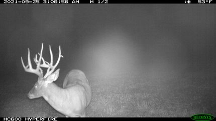 House for sale in Boone County, Missouri