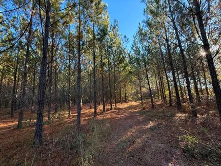 Land for sale in Lexington County, South Carolina