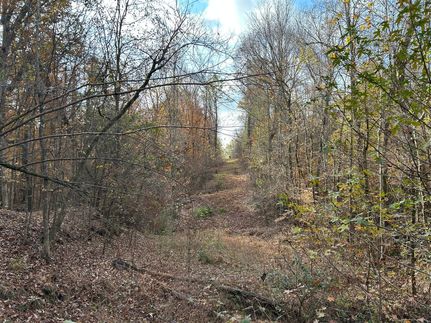 Hunting Property for sale in Yazoo County, Mississippi