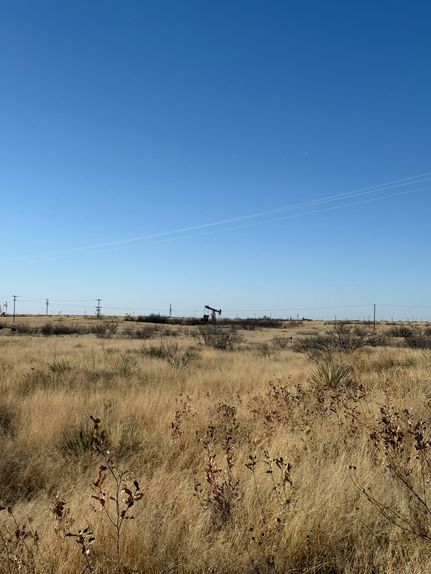 Undeveloped Land for sale in Andrews County, Texas