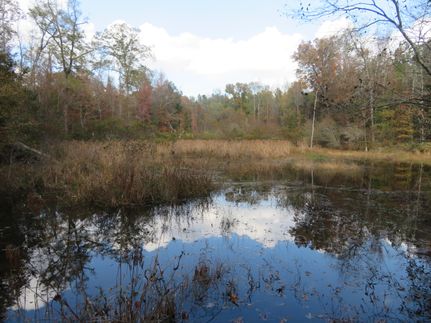 Land for sale in Schley County, Georgia