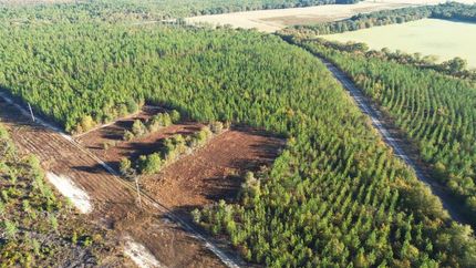 Land for sale in Lexington County, South Carolina