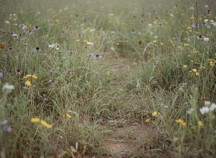 Homesite for sale in Bryan County, Oklahoma