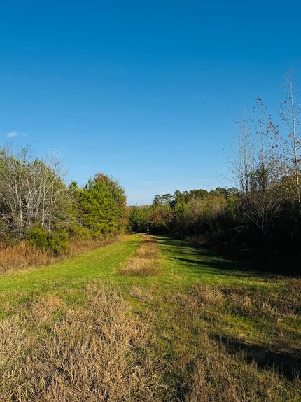 Land for sale in Attala County, Mississippi