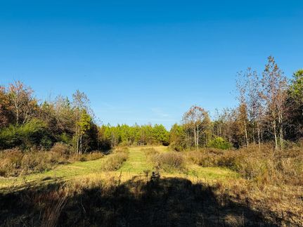 Land for sale in Attala County, Mississippi