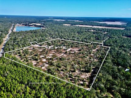 Land for sale in Dixie County, Florida