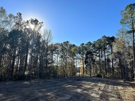 Land for sale in Elmore County, Alabama