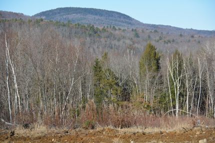 Land for sale in Oxford County, Maine