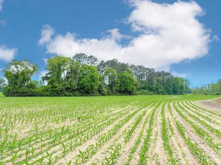 Land for sale in Marlboro County, South Carolina