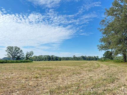 Land for sale in Marlboro County, South Carolina