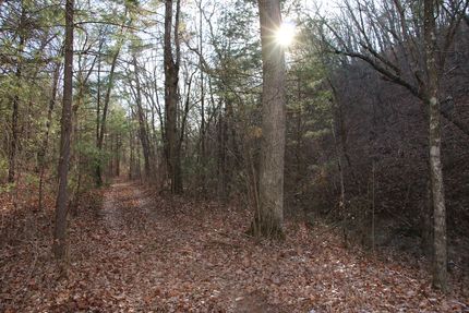 Timberland Property for sale in Shenandoah County, Virginia