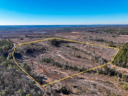 Land for sale in Wilkinson County, Georgia