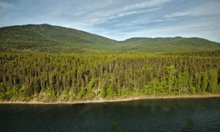 Homesite for sale in Flathead County, Montana