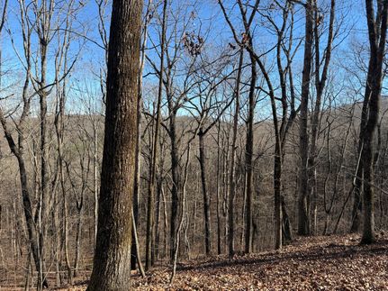 Land for sale in Cleburne County, Alabama