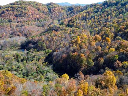 Land for sale in Campbell County, Tennessee