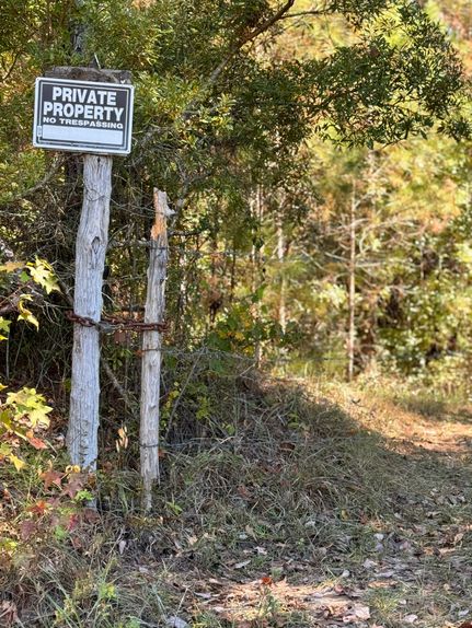 Land for sale in Sumter County, Alabama