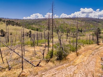 Land for sale in Costilla County, Colorado