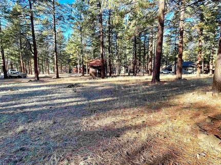 Land for sale in Lassen County, California