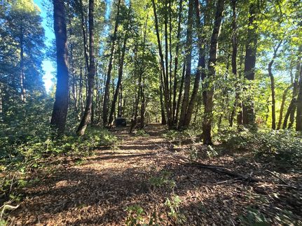 Land for sale in Trinity County, California