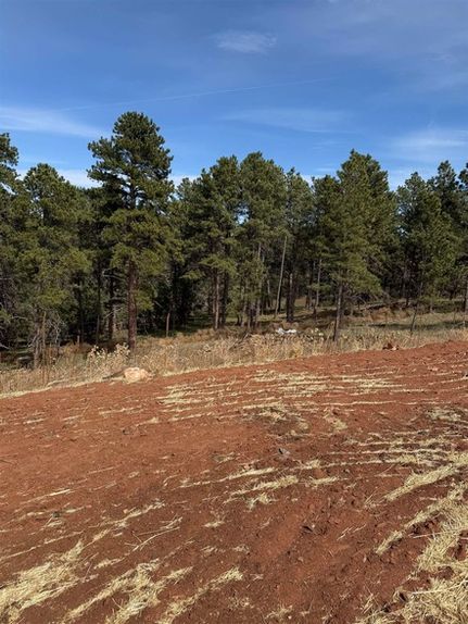 Land for sale in Pennington County, South Dakota