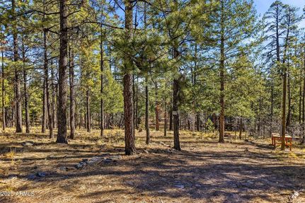 Land for sale in Apache County, Arizona