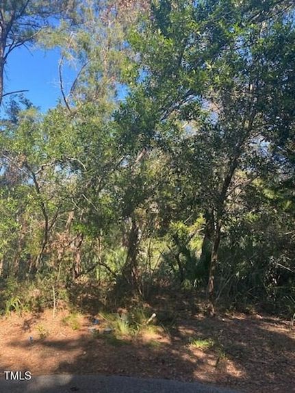 Homesite for sale in Brunswick County, North Carolina