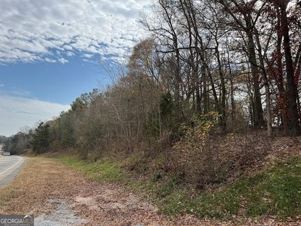Undeveloped Land for sale in Hart County, Georgia