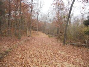 Land for sale in Newton County, Arkansas