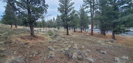 Land for sale in Siskiyou County, California