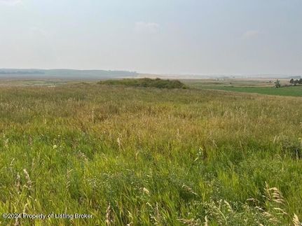 Undeveloped Land for sale in McKenzie County, North Dakota