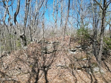 Undeveloped Land for sale in Cumberland County, Tennessee