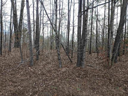 Land for sale in Madison County, Tennessee