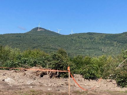 Land for sale in Coos County, New Hampshire