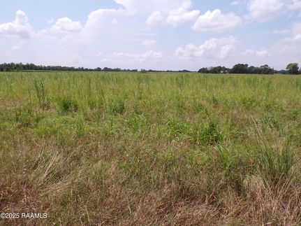 Land for sale in Lafayette Parish, Louisiana