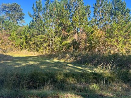 Land for sale in Turner County, Georgia