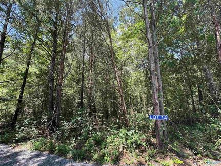 Land for sale in Marshall County, Alabama