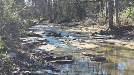 Land for sale in Maury County, Tennessee