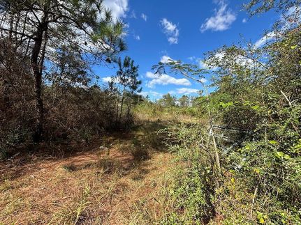 Land for sale in Madison County, Texas