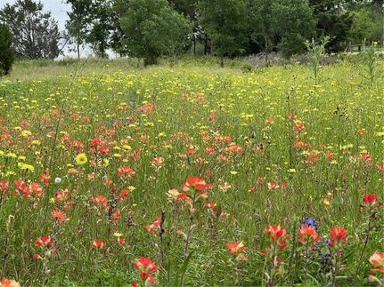 Land for sale in McLennan County, Texas