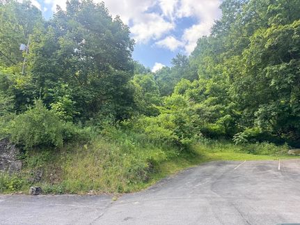 Homesite for sale in Nicholas County, West Virginia
