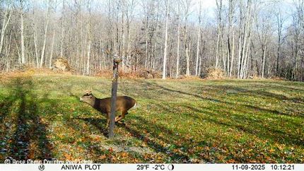 Land for sale in Marathon County, Wisconsin